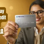 PNB RuPay Metal Credit Card "LUXURA" - Inbriefy.com