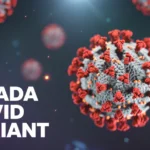 cicada covid variant in india - Inbriefy